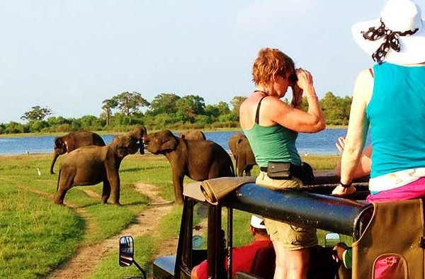 Sri Lanka Travel Tips for First-Time Visitors